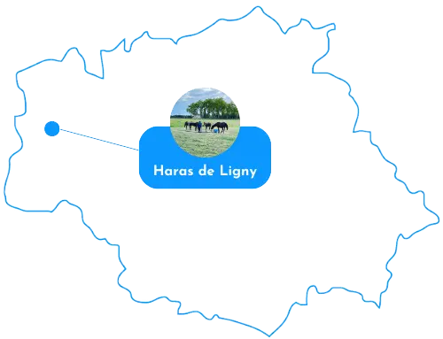 Carte pour localiser le Haras de Ligny - Haras dans le Gers à Caupenne d'Armagnac