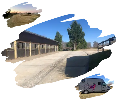 Le Haras de Ligny - un haras aux petits soins pour vos chevaux