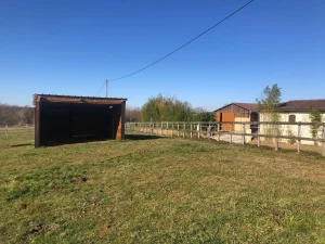 Box à cheval aménagé pour le confort des chevaux