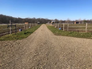 Les espaces de détente pour les chevaux du Gers
