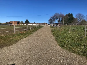 Espace aménagé pour les chevaux dans le domaine de Ligny