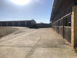 Box à chevaux et cour pour les chevaux de Caupenne d'Armagnac