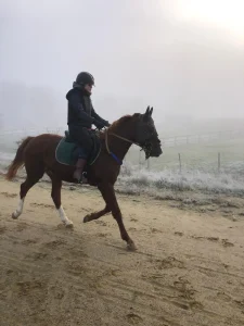 Cavalière avec son cheval pour l'entraînement des chevaux