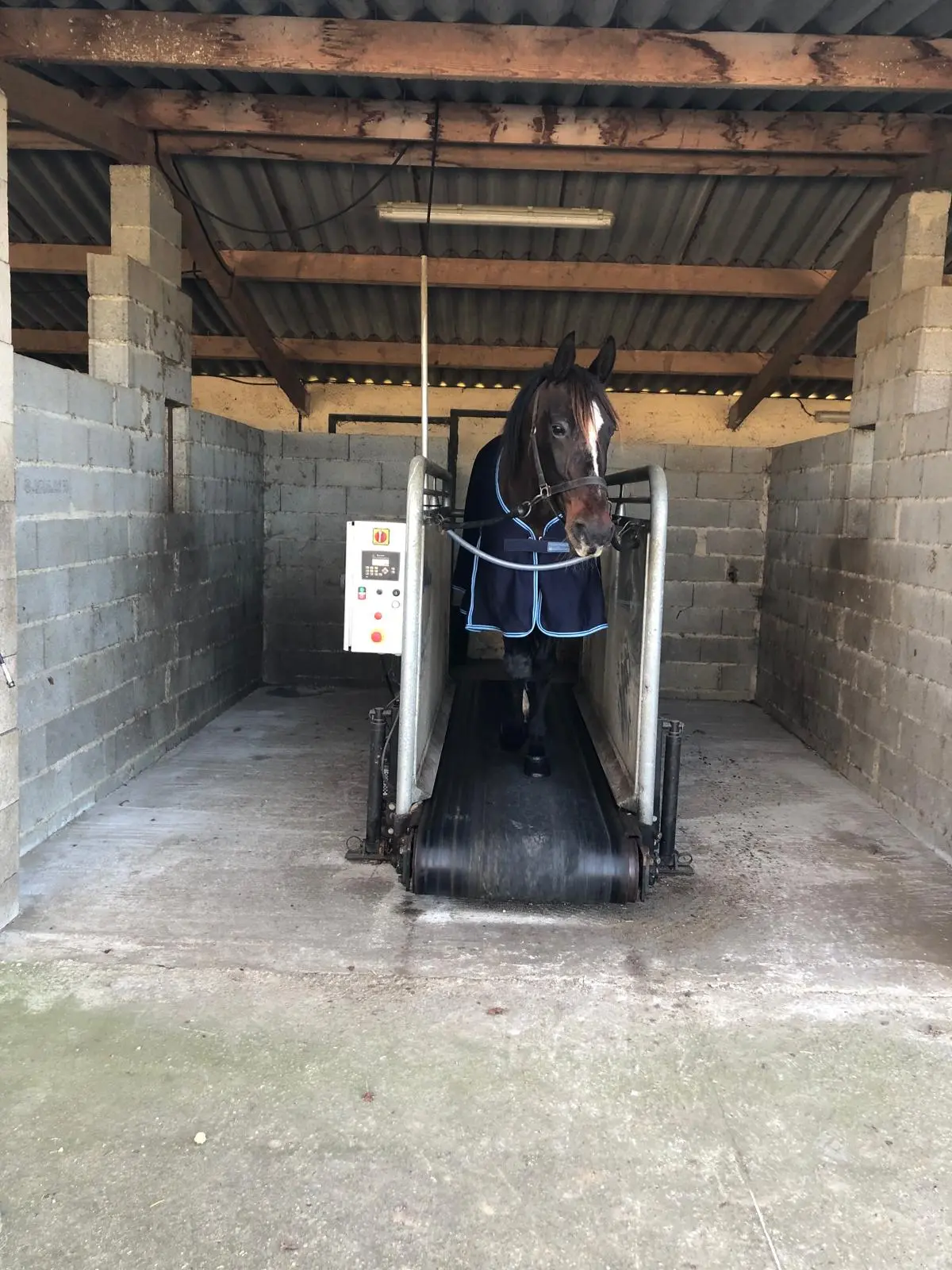 Tapis roulant pour cheval à Caupenne d'Armagnac dans le Gers